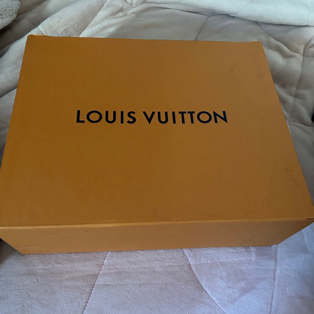 Louis Vuitton Hand Bag